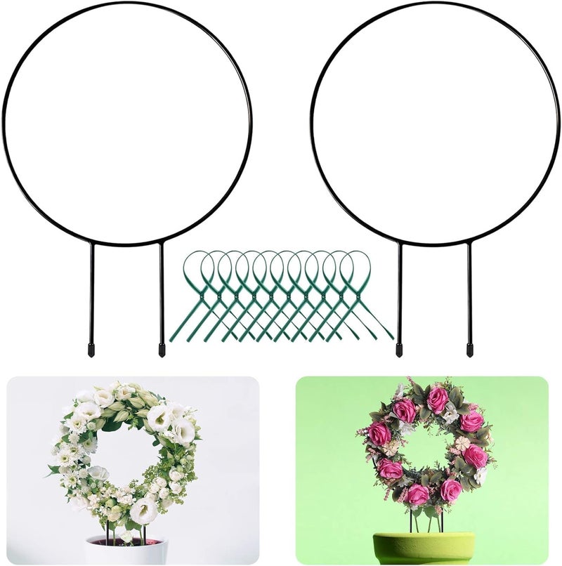 LAVISH CRAFT Black Metal Plant Trellis Climbing Plants Iron Vine Stem Support Wire Plants Climbing Holder Rack Potted Plants Flowers Indoor Garden Decor Vertical Gardening Plant Support (2 Circles) - Image 1