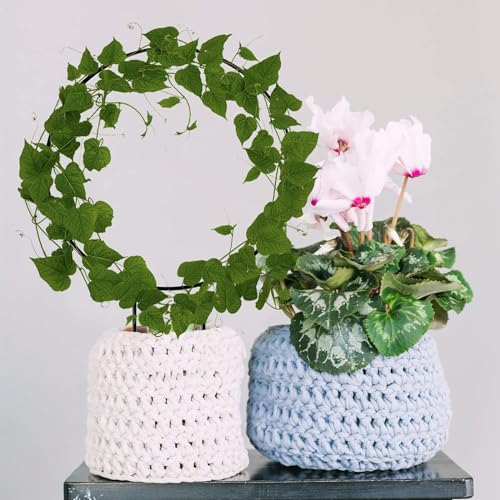 LAVISH CRAFT Black Metal Plant Trellis Climbing Plants Iron Vine Stem Support Wire Plants Climbing Holder Rack Potted Plants Flowers Indoor Garden Decor Vertical Gardening Plant Support (2 Circles) - Image 4