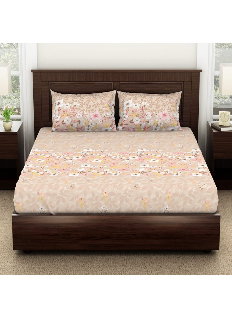 SPACES Spaces Viscose Cotton Double Bedsheet Soft Feel Moisture Absorbent Natural Fiber 138 Tc Beige Bedsheet for Double Bed 228 X 254 Centimeter  - Image 1