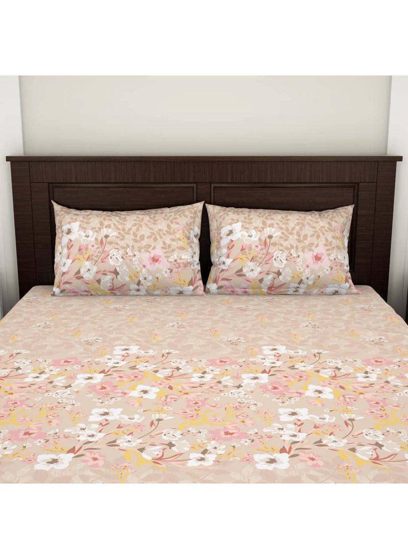 SPACES Spaces Viscose Cotton Double Bedsheet Soft Feel Moisture Absorbent Natural Fiber 138 Tc Beige Bedsheet for Double Bed 228 X 254 Centimeter  - Image 4