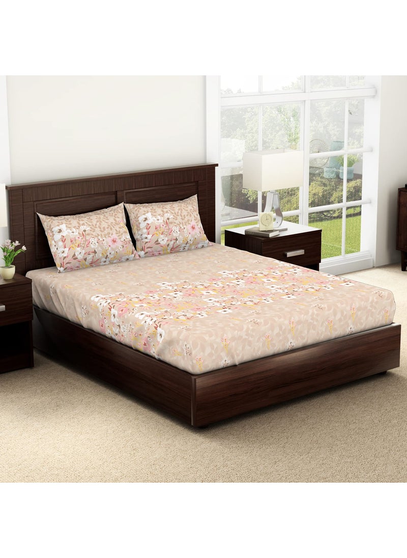 SPACES Spaces Viscose Cotton Double Bedsheet Soft Feel Moisture Absorbent Natural Fiber 138 Tc Beige Bedsheet for Double Bed 228 X 254 Centimeter  - Image 2