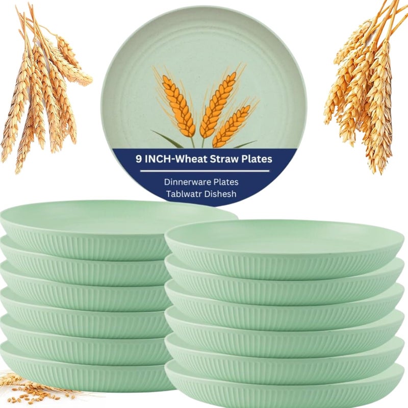 MYTHOS 12 Pic 9 in Lightweight Wheat Straw Plates Unbreakable Deep Dinner Plates Set Reusable Assorted Colors Dinnerware Sets Microwave Dishwasher Safe BPA Free and Healthy - Image 1