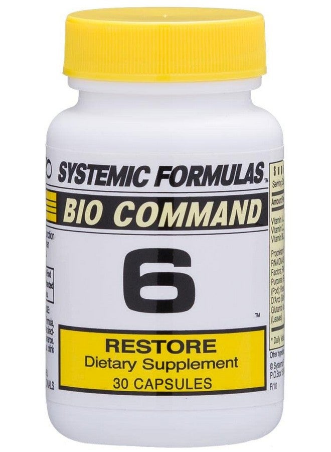 Systemic Formulas 6 Restore  - Image 2