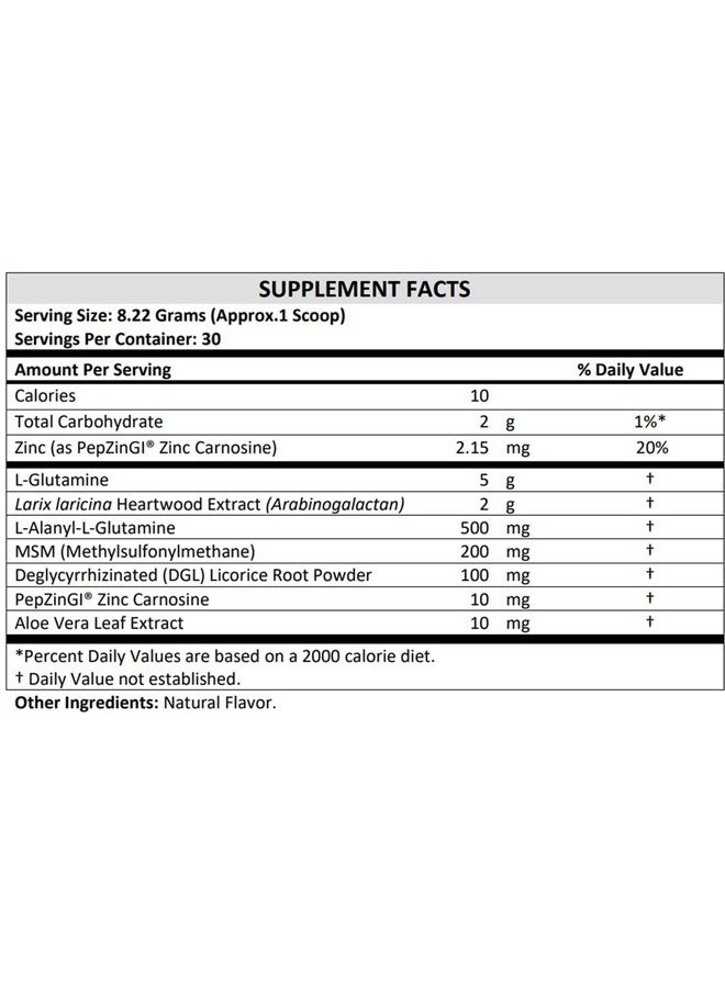 Terra Origin Healthy Gut Vegan Formula | with L-Glutamine and Clinically proven ingrediens | Supports gut permeability, gastrointestinal support, helps alleviate stomach discomfort and boost immunity* - Image 2