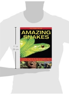 Exploring Nature: Amazing Snakes: an Exciting Insight into the Weird and Wonderful World of Snakes and How They Live, with 190 Pictures  - Image 1