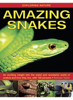Exploring Nature: Amazing Snakes: an Exciting Insight into the Weird and Wonderful World of Snakes and How They Live, with 190 Pictures  - Image 2