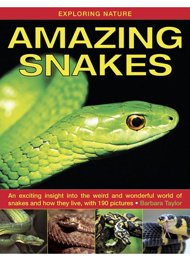 null - Exploring Nature: Amazing Snakes: an Exciting Insight into the Weird and Wonderful World of Snakes and How They Live, with 190 Pictures - Image 1