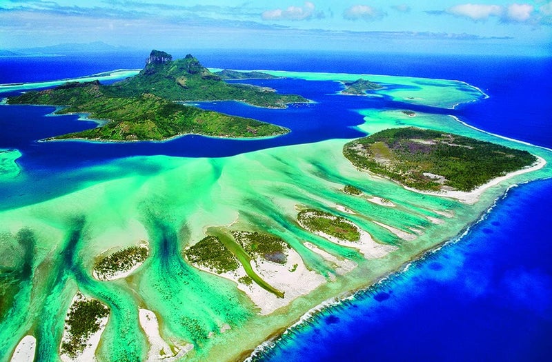 EuroGraphics Coral Reef 1000Piece Panoramic Puzzle - Image 2