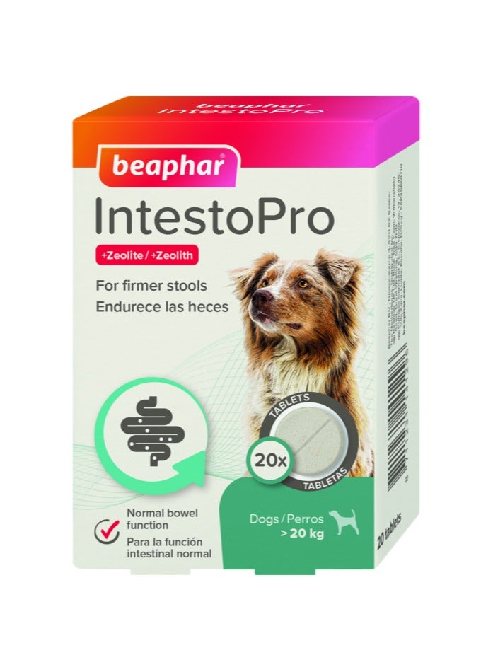 بيفار أقراص إنتيستو برو المضادة للإسهال للكلاب الكبيرة ٢٠ قرصًا