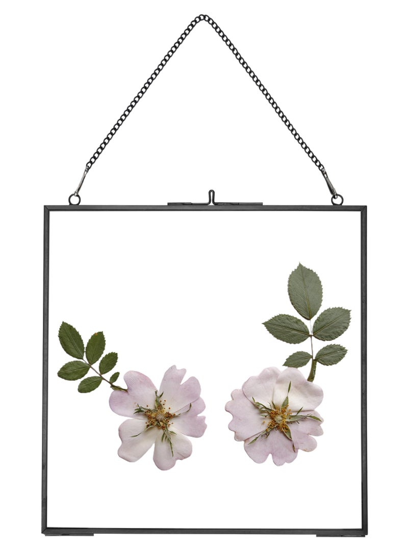 REDHUGO Glass Pressed Flower FramesVintage Hanging Picture Frames with ChainHandmade Brass Floating Picture FramePlant Specimen Wall Ornament Display DIY Family PhotoSquareBlack8x8 Inches
