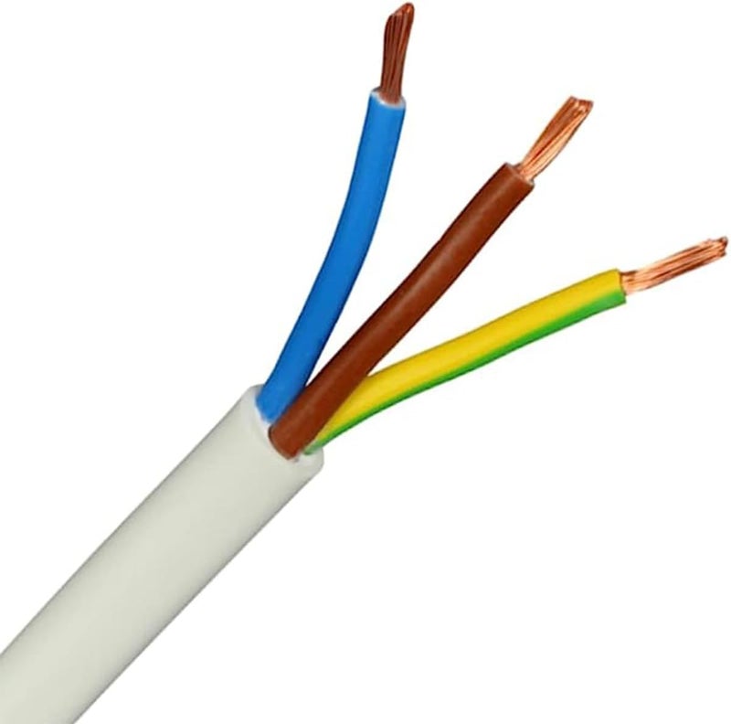 RACO Electrical Multicore PVC Flexible Cable Extension Wire Copper Power Cord 5 Meter (10 mm, 3 CORE) - Image 1