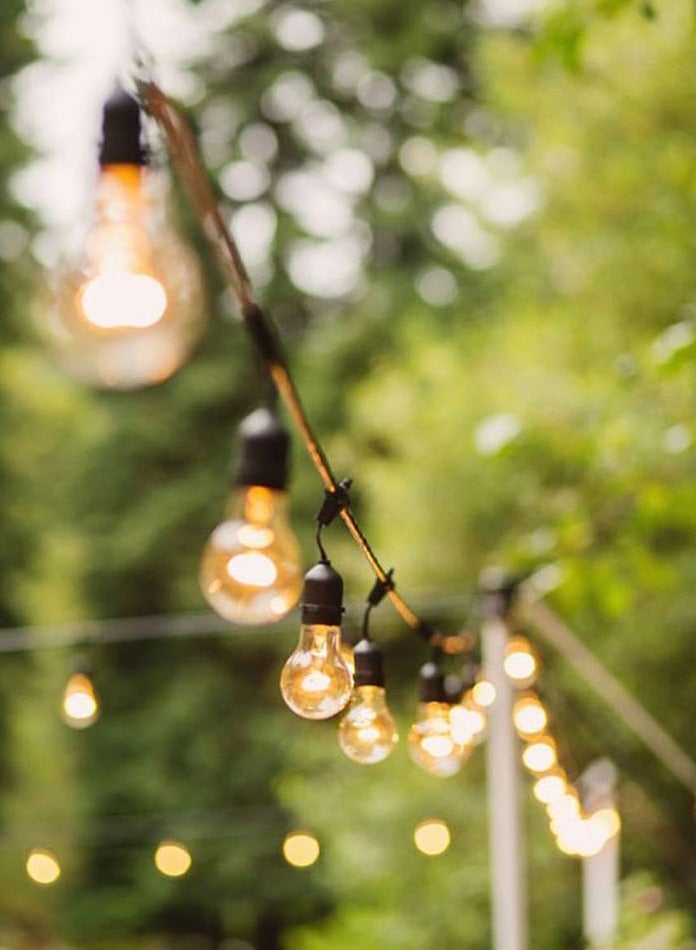 MODI D221 Amber LED Bulb G45 4W E27 | Warm White Filament Light | 480lm | Vintage Edison Style | 360° Beam | Decorative Glass Bulb - Image 5