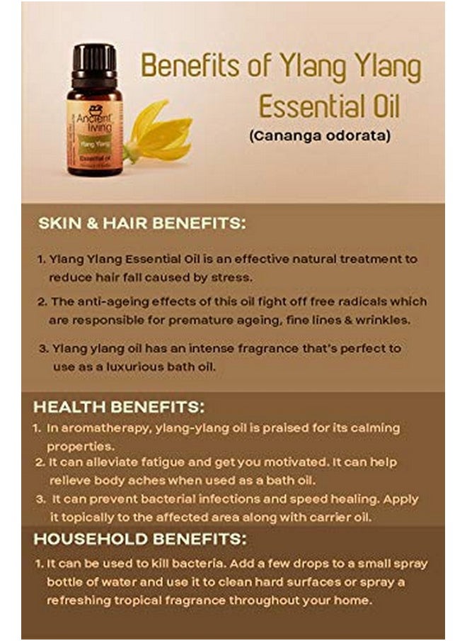 Ancient Living - Organic Ylang Ylang Essential Oil - 10 Ml - Image 1