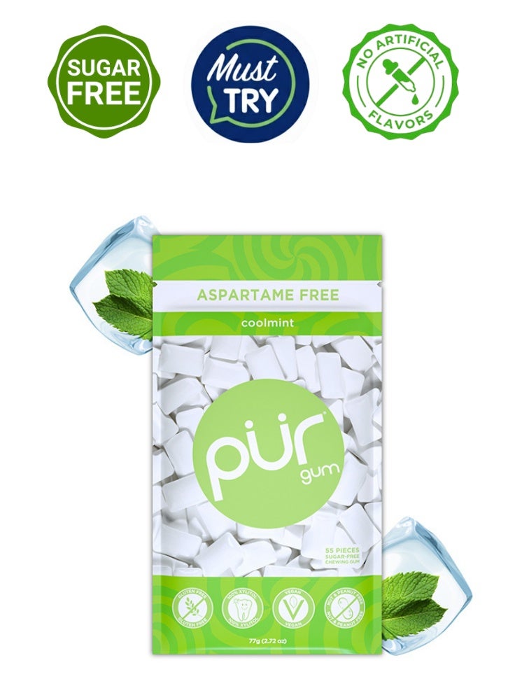 PUR Gum Chewing Gum Sugar Free Cool Mint Flavor 55 Pieces Pack of 1 Aspartame Free Vegan Gluten Free With 100% Xylitol Sugar Free Chewing Gum - Image 1