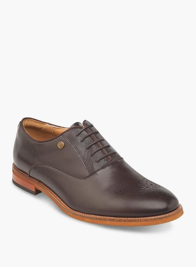DUCHINI Men Lace-Up Oxford Shoes