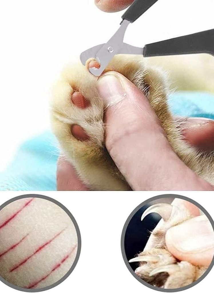 VanPet Double Colored Nail Clipper For Birds 10x6Cm - Image 2
