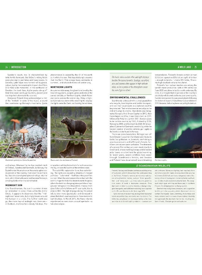 Insight Guides Scandinavia (Travel Guide with Free eBook) - Image 5