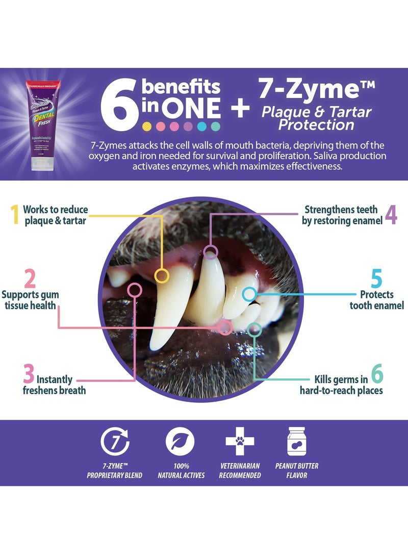 SynergyLabs Dental Fresh Enzymatic Plaque & Tartar Dental Gel 2.5 oz - 70.87 g  - Image 3