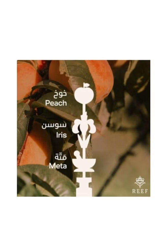 ريف بيسكا الجديد 200 مل - Image 4