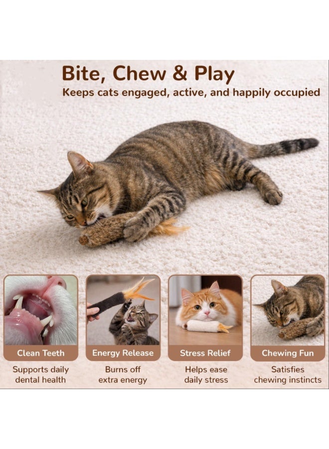 Arabest Rabbit Fur Cat Toys with Catnip & Silvervine Gall Fruit Natural Interactive Chew and Kicker Toys for Indoor Cats and Kittens, Helps Clean Teeth, Relieve Boredom and Promote Exercise(3 PCS) - Image 4