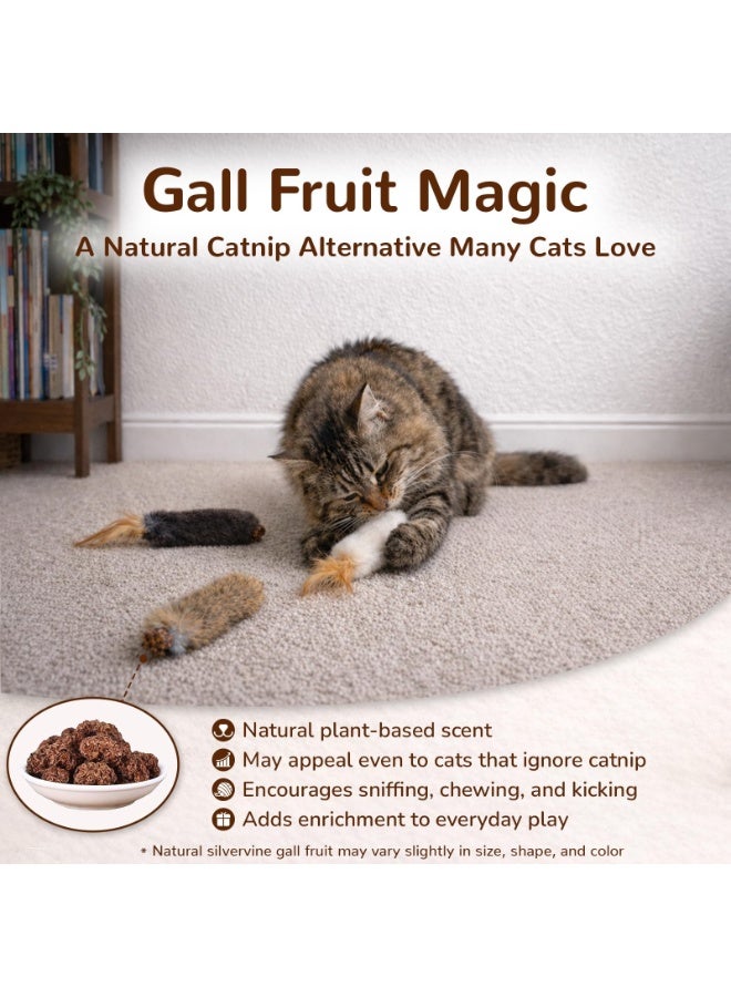 Arabest Rabbit Fur Cat Toys with Catnip & Silvervine Gall Fruit Natural Interactive Chew and Kicker Toys for Indoor Cats and Kittens, Helps Clean Teeth, Relieve Boredom and Promote Exercise(3 PCS) - Image 3