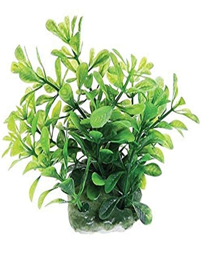 Underwater Treasures 20742 Green Moneywort - Image 2