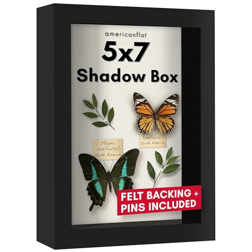Americanflat 5x7 Shadow Box Frame with Shatter-Resistant Glass - Silhouette Collection - Small Shadow Box Display Case for Tabletop and Wall Display - Black with Soft Felt Back - Image 1