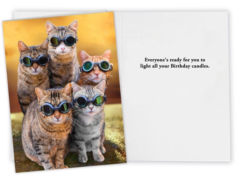 CardFool Funny Cat Birthday Card for Women, Men, Family, Friends - Hilarious card for a bright candle birthday celebration! - Image 2
