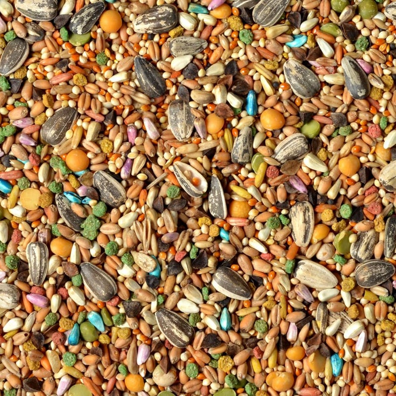 Wild Harvest Universal Blend for Medium and Large Birds 10 Pounds; Fortified Nutrition - Image 3