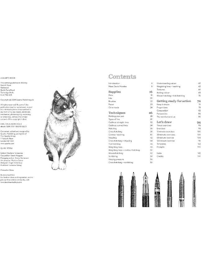 Pen and Ink Drawing Techniques: How-Tos, Subjects and Prompts - Image 2