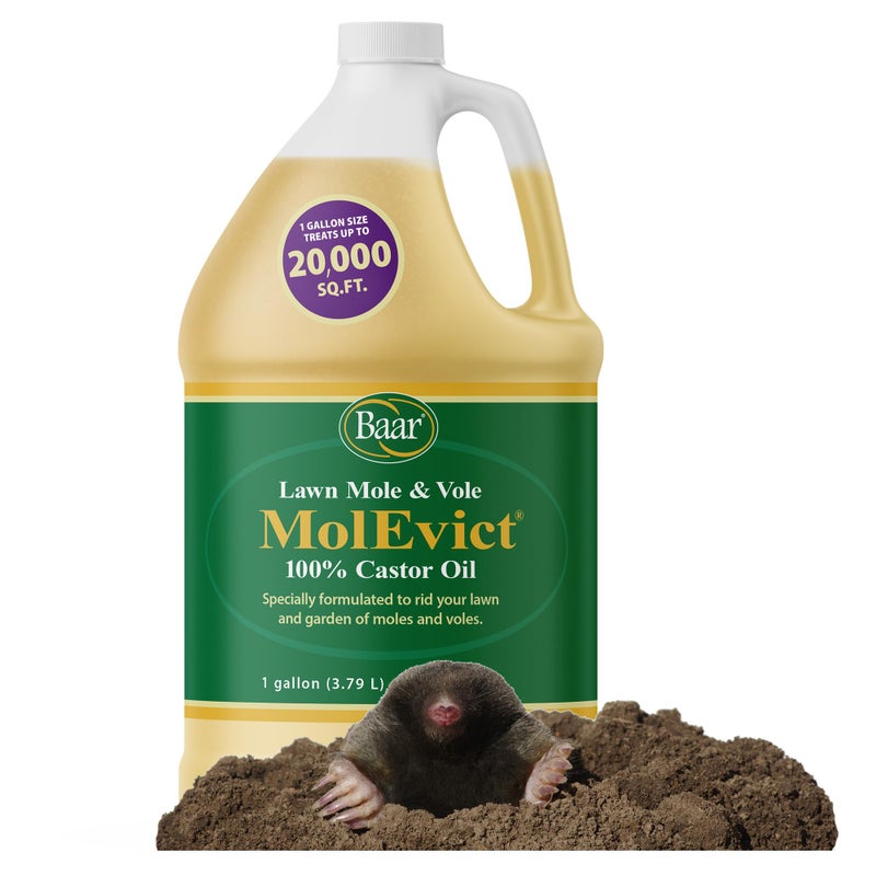 Baar Products - MolEvict Lawn Mole Castor Oil - Lawn & Garden Protection - Up to 20,000 Sq. Ft. of Coverage - 1 Gallon - Image 1