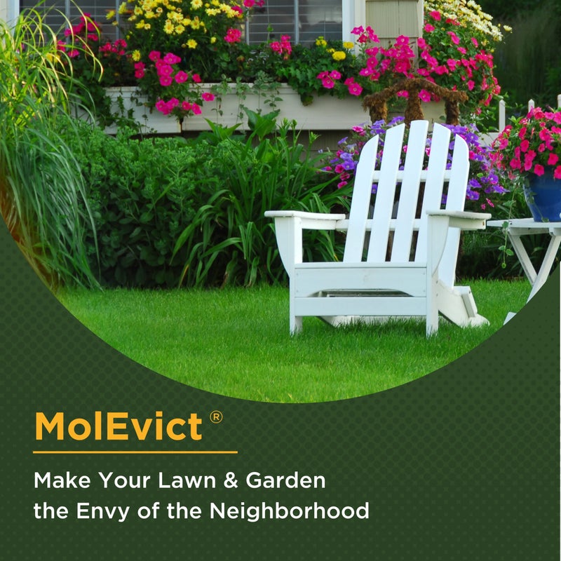 Baar Products - MolEvict Lawn Mole Castor Oil - Lawn & Garden Protection - Up to 20,000 Sq. Ft. of Coverage - 1 Gallon - Image 2