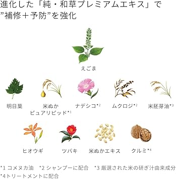 Ichikami Color Care Base Treatment in Shampoo Refill 112 fl oz 330 ml Fade Resistant Damage Care NonSilicone Sulfate Free Amino Acid Shampoo - Image 5