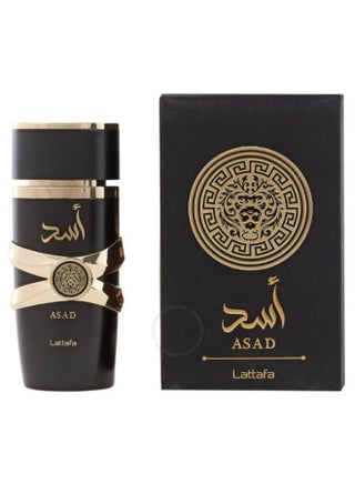 عطر أساد للرجال 100 مل - pzsku/Z14C0E2D2C2716450A5A2Z/45/_/1723556097/f7f1da79-b8a3-45ae-927c-c938f32f0bc6