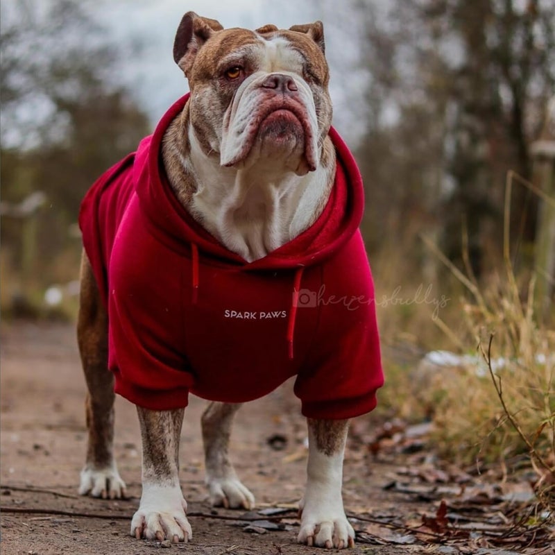 Spark Paws Dog Hoodie – Premium Dog Sweater for Small, Medium, and Large Dogs | Warm Outfits for French Bulldogs, Pitbull, Puppy, Winter Jacket Alternative - Burgundy - XL - Image 4