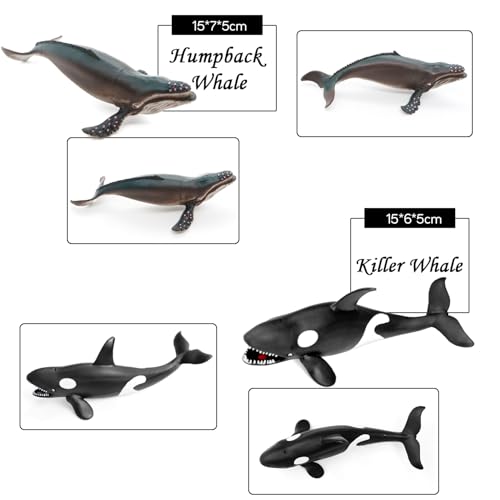 Fun Gift Sea Animal Toy Set, 8 pcs Animal Sea Figures Ocean Toy for Kids, Realistic Set for Sea Lovers, Includes Great White Shark, Dolphin, White Shark, Whale for Age 3+ - Image 5
