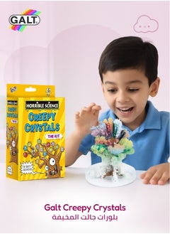 Galt Toys Science Kit for Kids | Creepy Crystal Tree Kit | Grow Your Own Crystals | Educational STEM Toy | 8 Years and Up | Includes Crystals, Petri-Dish, and More | 25.5 x 19.5 x 6 cm  - Image 2