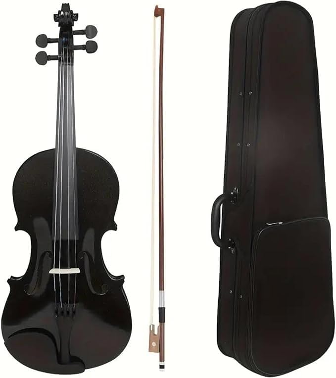 MegArya 4/4 Acoustic Violin Set with Bow and Case - Image 1