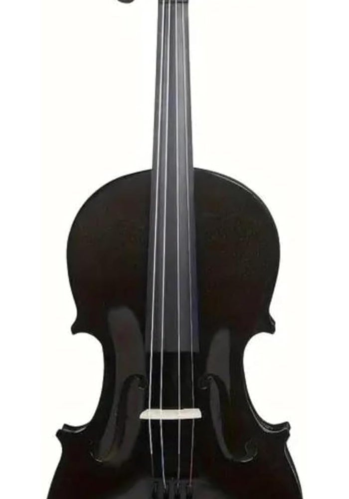 MegArya 4/4 Acoustic Violin Set with Bow and Case - Image 2