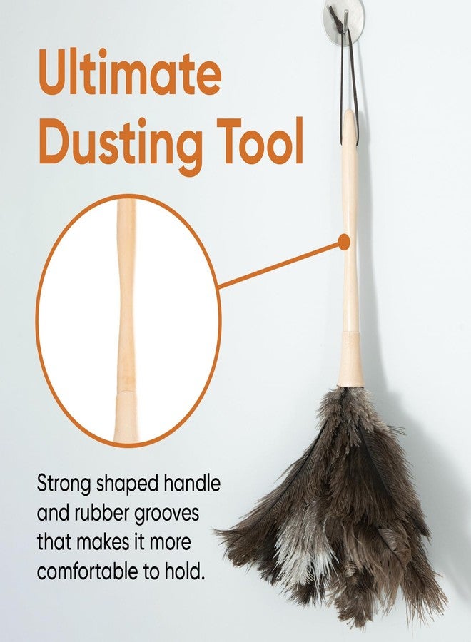 Superio Ostrich Feather Duster Fluffy Dust Remover, with Wooden Handle Reusable for Cleaning Homes, Ceilings, and Furniture (6 Pack - Image 5