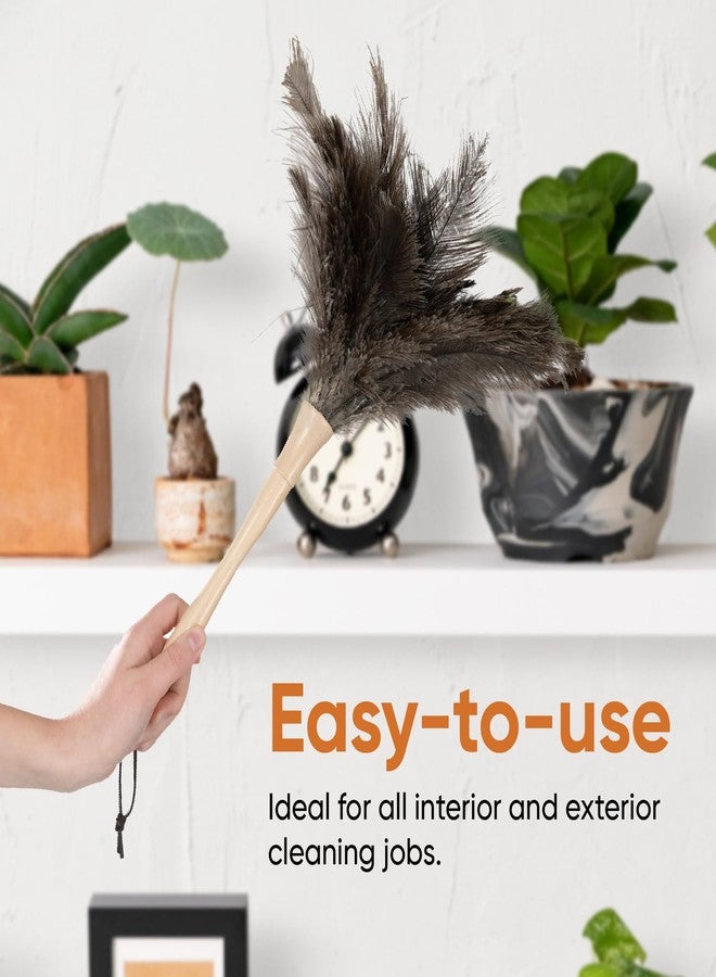 Superio Ostrich Feather Duster Fluffy Dust Remover, with Wooden Handle Reusable for Cleaning Homes, Ceilings, and Furniture (6 Pack - Image 4