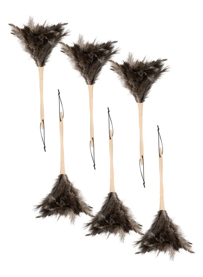 Superio Ostrich Feather Duster Fluffy Dust Remover, with Wooden Handle Reusable for Cleaning Homes, Ceilings, and Furniture (6 Pack - Image 1
