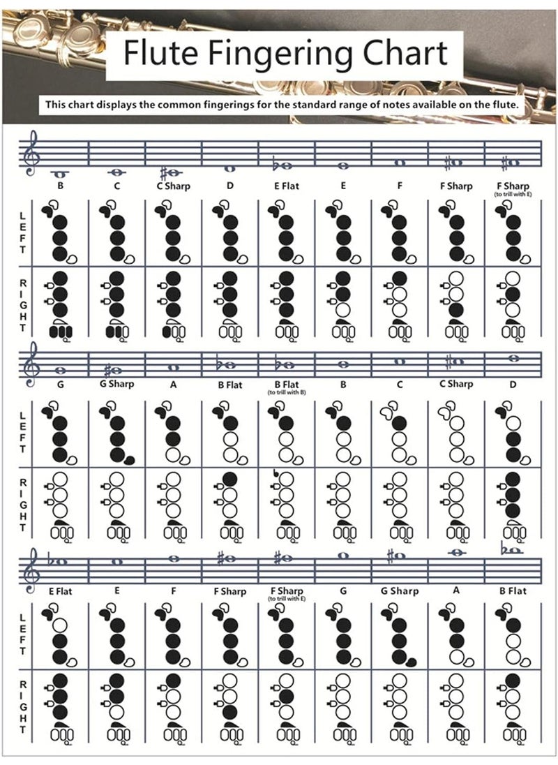 SYCOOVEN SYCOOVEN Flute Chord Chart Durable Portable Fingering Practice White Chord Chart for Flute Fingering Practice Chord Chart Beginner Student for Teaching or Group Study 16 x 22 SizeL  - Image 1
