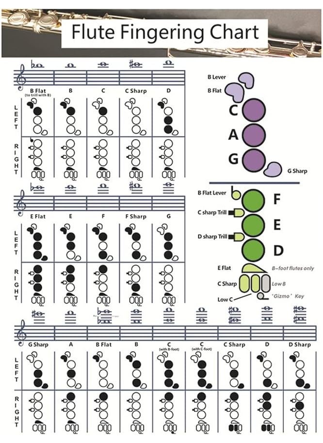 SYCOOVEN SYCOOVEN Flute Chord Chart Durable Portable Fingering Practice White Chord Chart for Flute Fingering Practice Chord Chart Beginner Student for Teaching or Group Study 16 x 22 SizeL  - Image 4