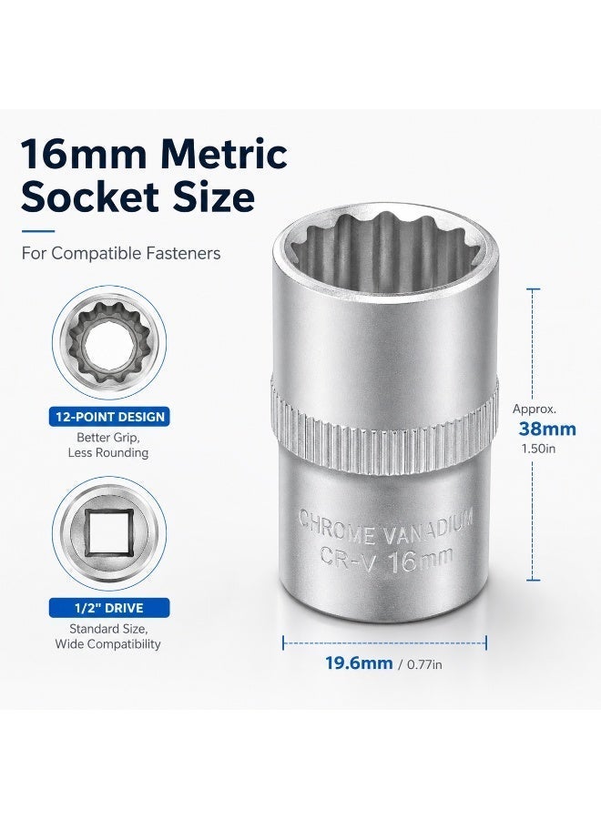 16mm 12 Point Small Socket, 1/2 Inch Square Drive Chrome Vanadium Steel CR-V Socket Wrench Tool for Ratchet, Breaker Bar and Automotive Repair - Image 2