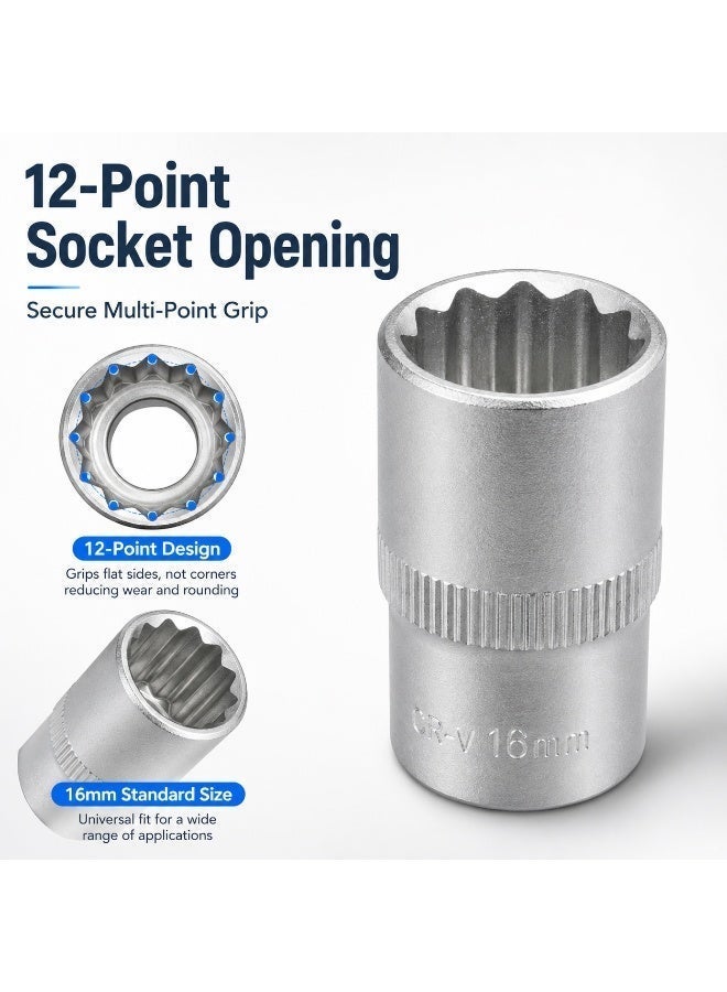 16mm 12 Point Small Socket, 1/2 Inch Square Drive Chrome Vanadium Steel CR-V Socket Wrench Tool for Ratchet, Breaker Bar and Automotive Repair - Image 4