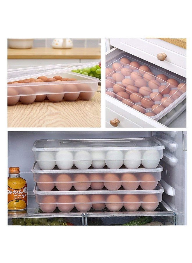 Styleys Plastic Egg Box, Tray for Fridge (34 Eggs_S11103) - Image 4
