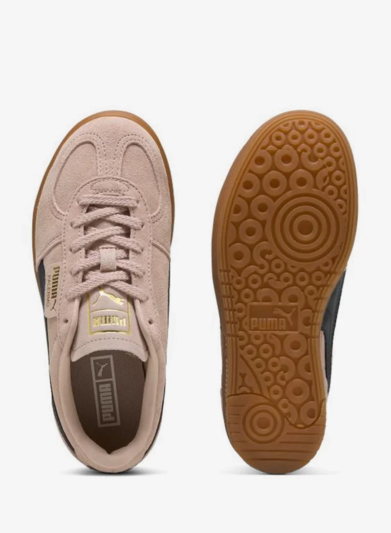 بوما باليرمو إليفاتا