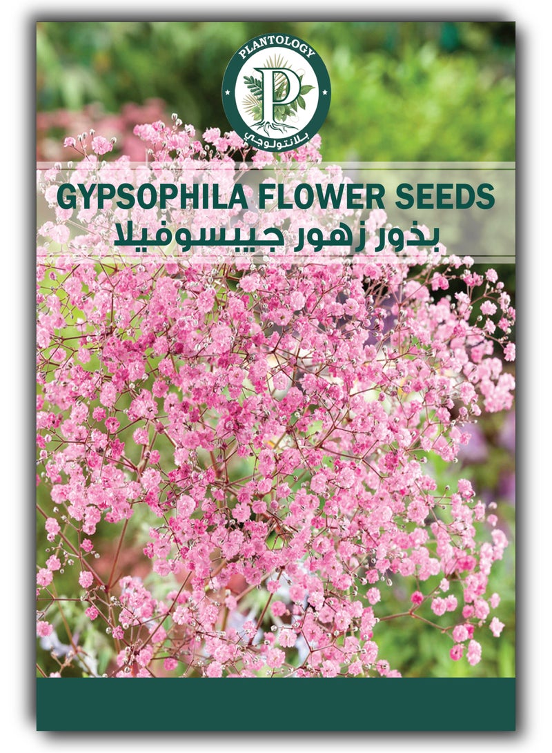 بذور زهرة الجيبسوفيلا للزراعة – بذور زهرة نَفَس الطفل الوردية