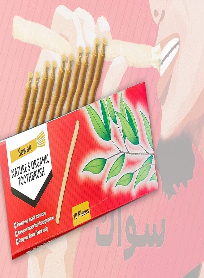 سواك أعواد مسواك طبيعية لتنظيف الأسنان، مع حاملين، مغلفة بتفريغ الهواء (10 أعواد) - Image 4